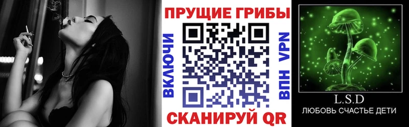 сайты даркнета формула  Звенигово  Галлюциногенные грибы мухоморы 